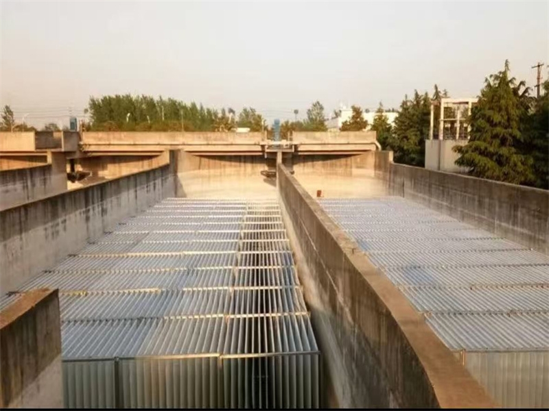 शेयर